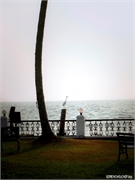 _DSF9691 (Copy)